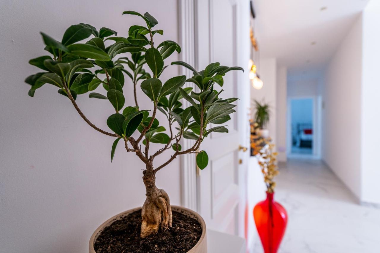 Bed and Breakfast Domus Mare Cilento Agropoli Esterno foto