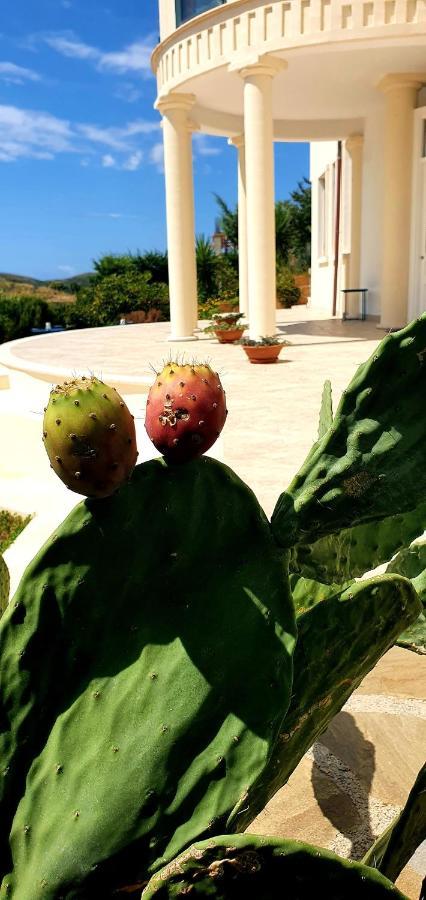 Bed and Breakfast Domus Mare Cilento Agropoli Esterno foto